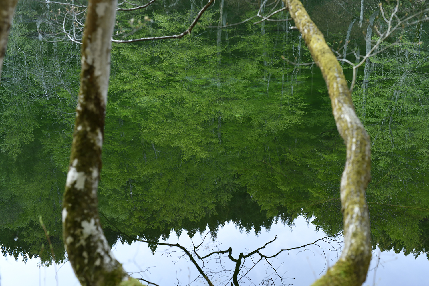 Ryugakubo pond in Tsunan town