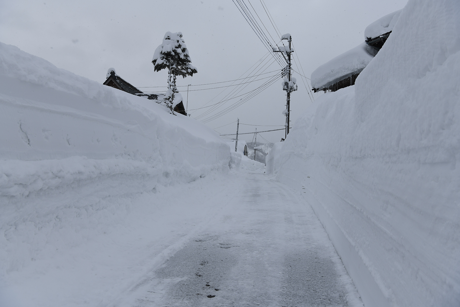 heavy snow in Tsunan town